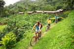 Flight of the Gibbon - Zipline Canopy Tour