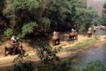 Bright two-day trek with elephant ride and bamboo rafting