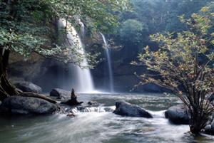 Thailand Tours - Khao Yai National Park