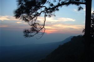 Thailand Tours - Phu Kradung