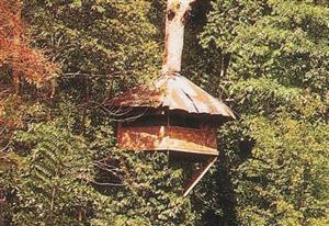 Thailand Tours - Tree Tops