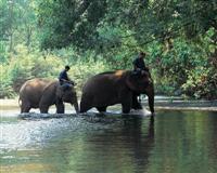 Thailand Travel - Thailand Adventure in the North - Kanchanaburi - Bridge over River Kwai - Chiang Mai - Hilltribe Village - Koh Samui